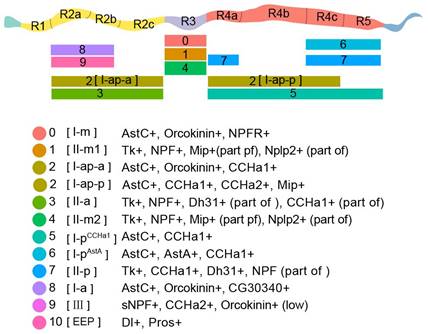 说明: C:\Users\xi\Desktop\subtype gut distribution.jpg